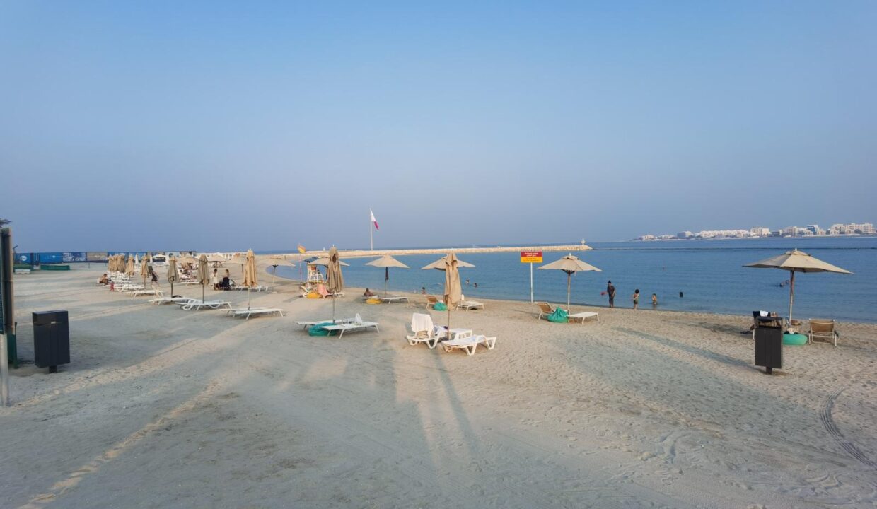 WhatsApp Image 2022-12-06 at 2.50.15 PM