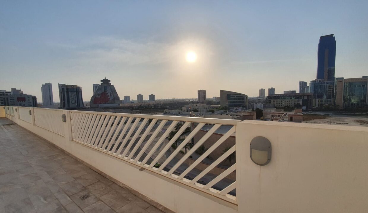 WhatsApp Image 2022-12-12 at 2.47.39 PM (1)