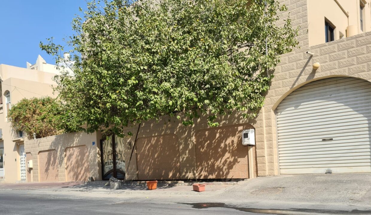 WhatsApp Image 2022-12-13 at 12.38.20 PM (1)