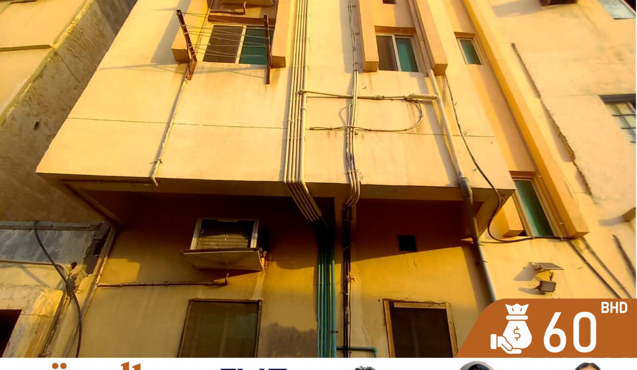 Levelup Template Shan 1-01