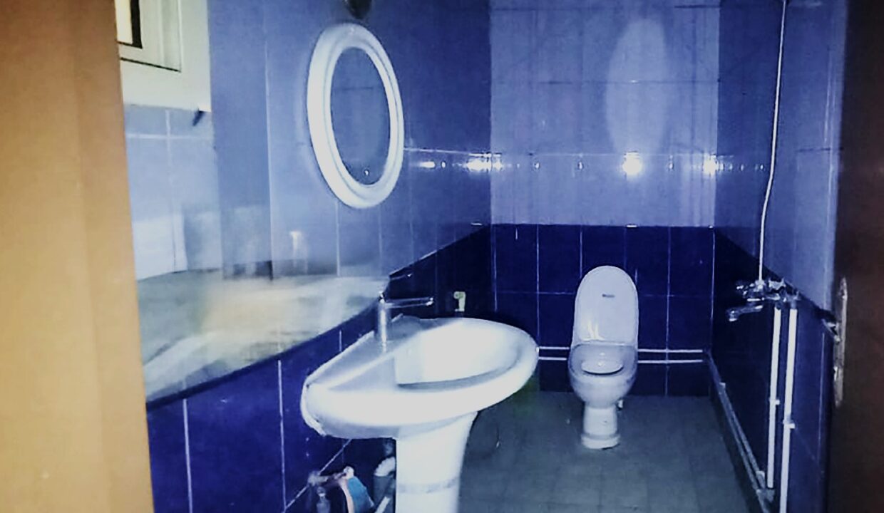 WhatsApp Image 2025-05-03 at 12.46.26 PM