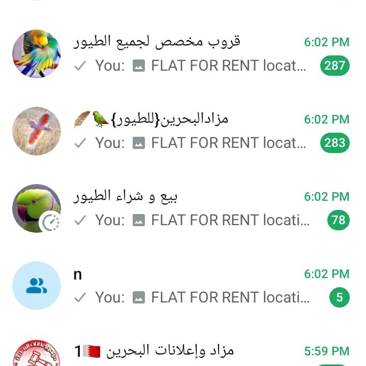 WhatsApp Image 2025-09-18 at 6.05.00 PM (2)