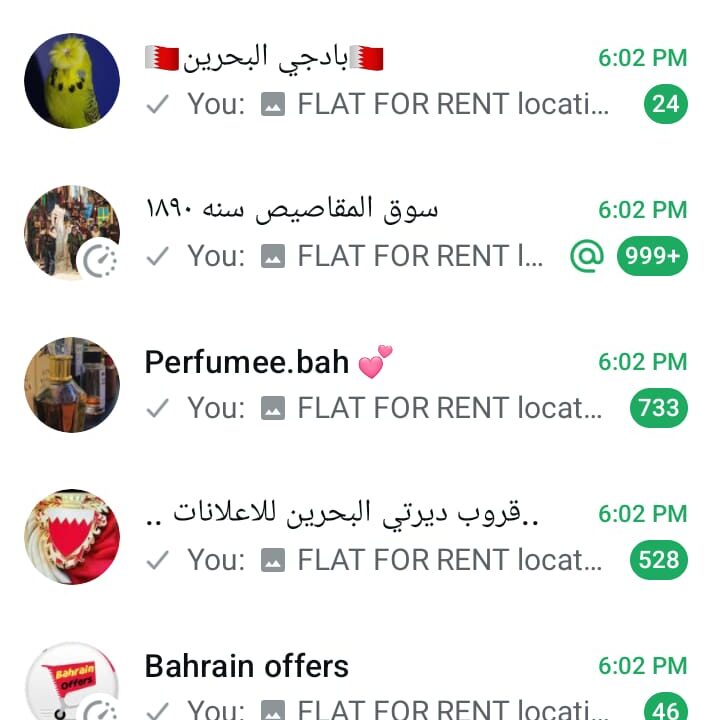 WhatsApp Image 2025-09-18 at 6.05.00 PM